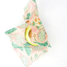 Load image into Gallery viewer, Dragonfruit Dreamin&#39; Petite Variety Pack - Small, Medium, Large