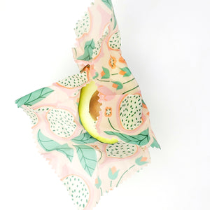 Dragonfruit Dreamin' Variety Pack - Small, Medium, Large, XL