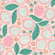 Load image into Gallery viewer, Dragonfruit Dreamin&#39; Petite Variety Pack - Small, Medium, Large